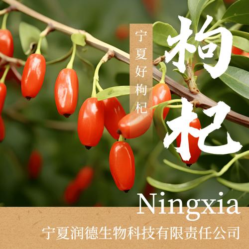宁夏知名农业企业品牌展播